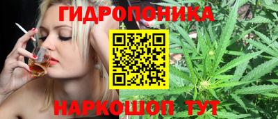 хмурый Аша