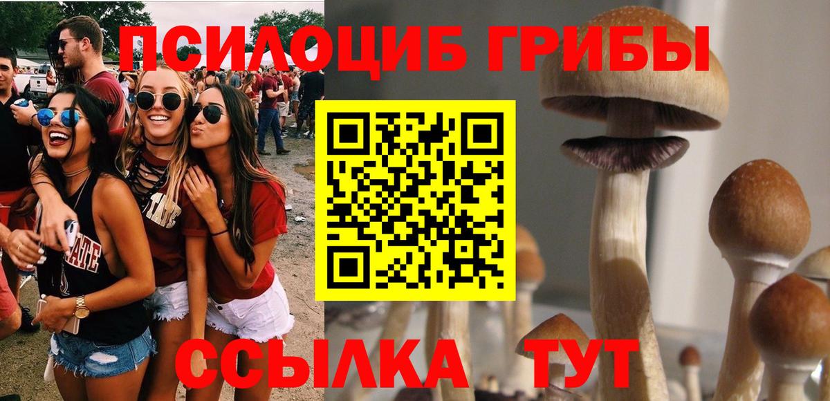 Псилоцибиновые грибы ЛСД  Вход с VPN  Галлюциногенные грибы ЛСД  Реутов 