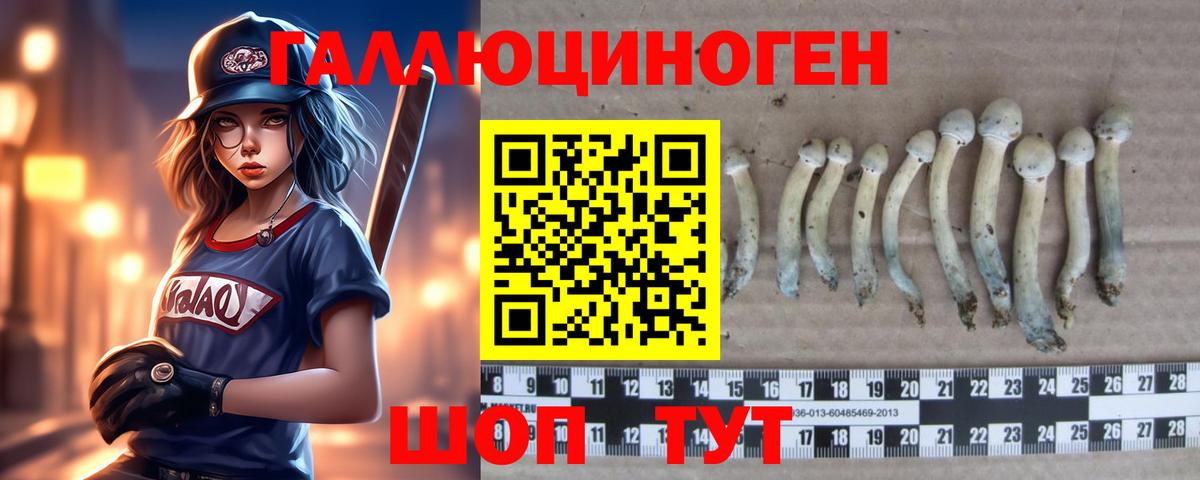 Галлюциногенные грибы мухоморы Реутов